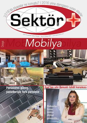 Sektorarti Subat 2017