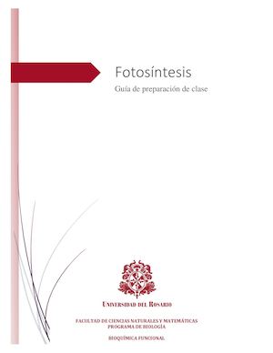 Guía De Preparación De Clases Fotosíntesis