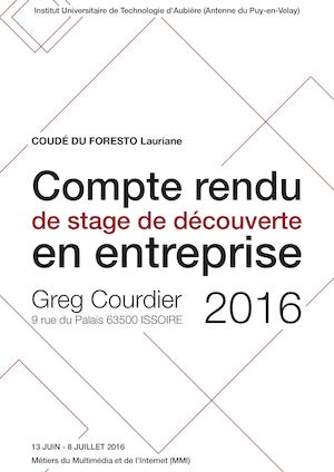 Rapport stage première année DUT MMI