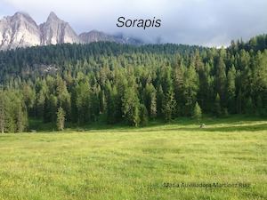 'Sorapis'