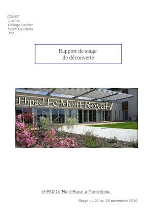 Conet Justine Rapport De Stage