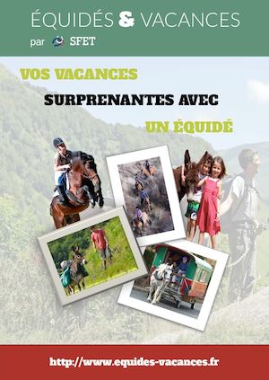 Vos Vacances surprenantes avec un équidé