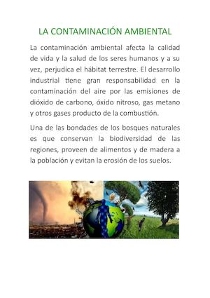 La Contaminación Ambiental Causada Por El Ser Humano