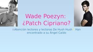 Wade Poezyn: ¿Patch Cipriano?