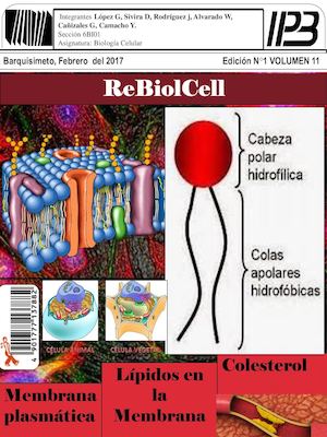 Revista Biologia Celular Upel Ipb