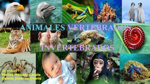 CLASIFICACIÓN DE LOS ANIMALES VERTEBRADOS E INVERTEBRADOS