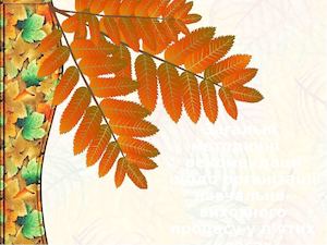 Мет реком 5 клас