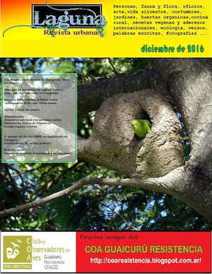 Laguna, Revista Urbana Diciembre 2016