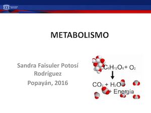 Metabolismo