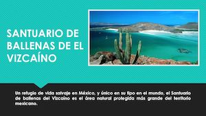 Santuario De Ballenas De El Vizcaíno