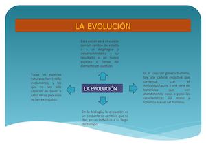 La Evolución