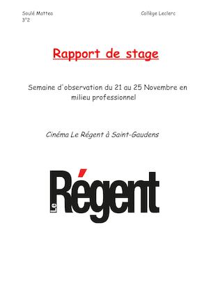 Rapport De Stage Soulé Mattea