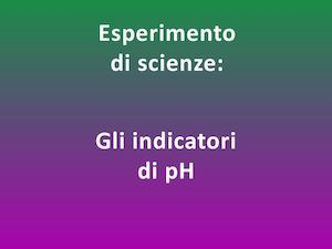 Presentazione Powerpoint Esperimento Indicatori P H