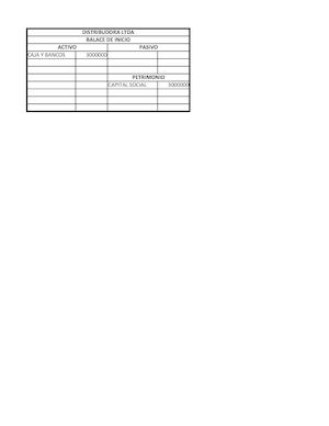 Presupuesto La Aurora