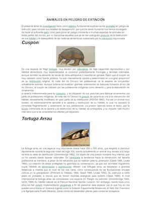 Animales En Peligro De Extinción