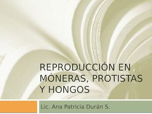 Reproducción En Móneras, Protistas Y Hongos