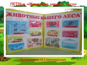 ЛЕПбук "Животные нашего леса"