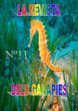 Revista Ganàpies11