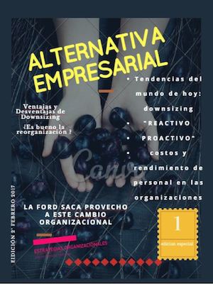 Revista Digital Downsizing