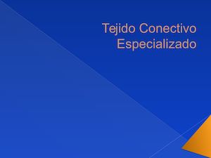 Tejido Conectivo Especializado