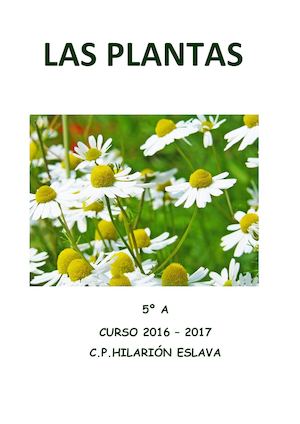 Las Plantas
