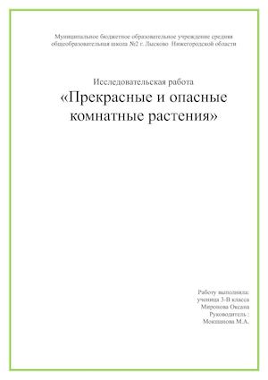 Исследовательская работа