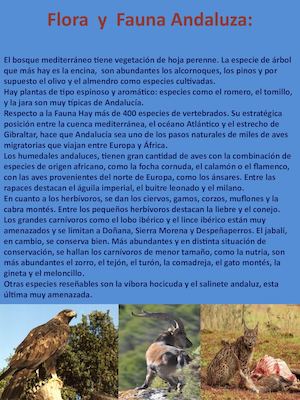 Flora Y Fauna Andaluza