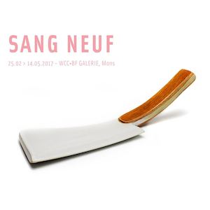 Catalogue Sang Neuf