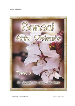 Bonsai Arte Viviente V