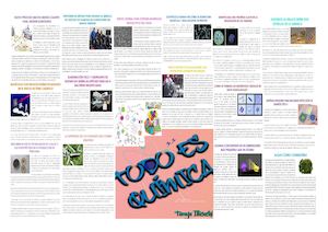 Ensayo De Quimica