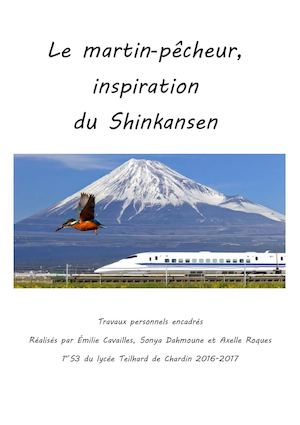 Le martin-pêcheur, inspiration du Shinkansen
