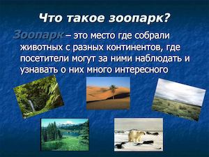 Chto Takoe Zoopark