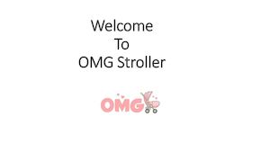 Baby Bouncer Reviews