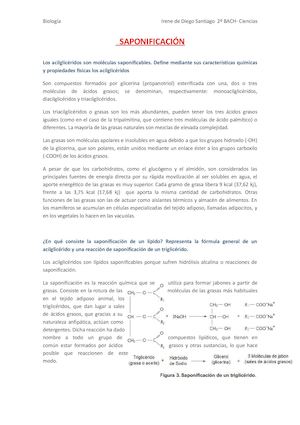 Irene Saponificacion