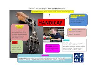 Carte Mentale HANDICAP