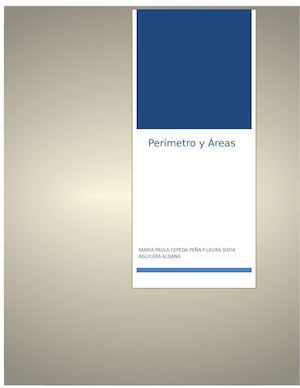 PERÍMETRO Y ÁREA