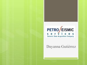 Empresa Petroseismic