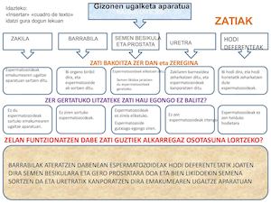 12 Oier 09 Paul Gizonen Ugaltze Aparatua
