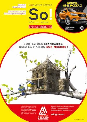 So 201 Strasbourg #5