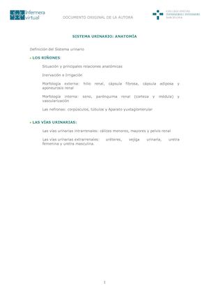 Sistema Urinario
