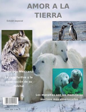 Revista Digital 1