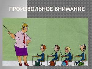 Произвольное внимание