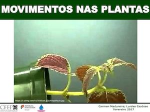 Hormonas Vegetais Lurdes Carmen Corrigido Ff