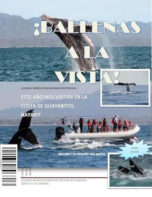 Ballenas