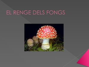 El Regne Dels Fongs