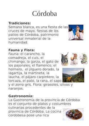 Córdoba,hecho por:alejandra,javi,eloy y ana