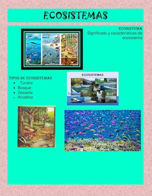 Ecosistemas (1)
