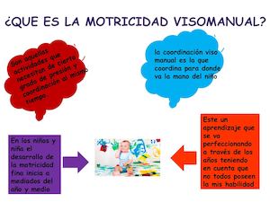 Motricidadfas Visomanual