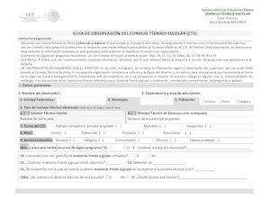 Guia De Observacion Cte