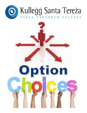 eBook Option Choice